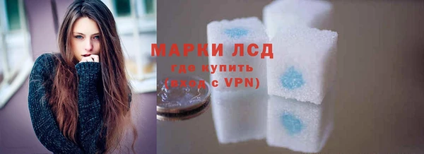 PSILOCYBIN Тайга