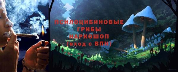 первитин Ельня