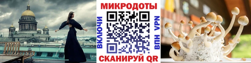 Галлюциногенные грибы прущие грибы Ачхой-Мартан