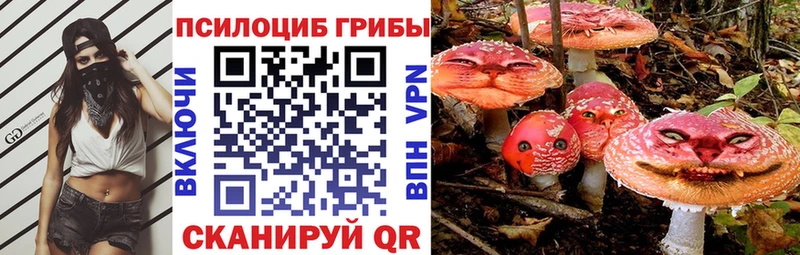 купить   Ачхой-Мартан  Псилоцибиновые грибы мицелий 